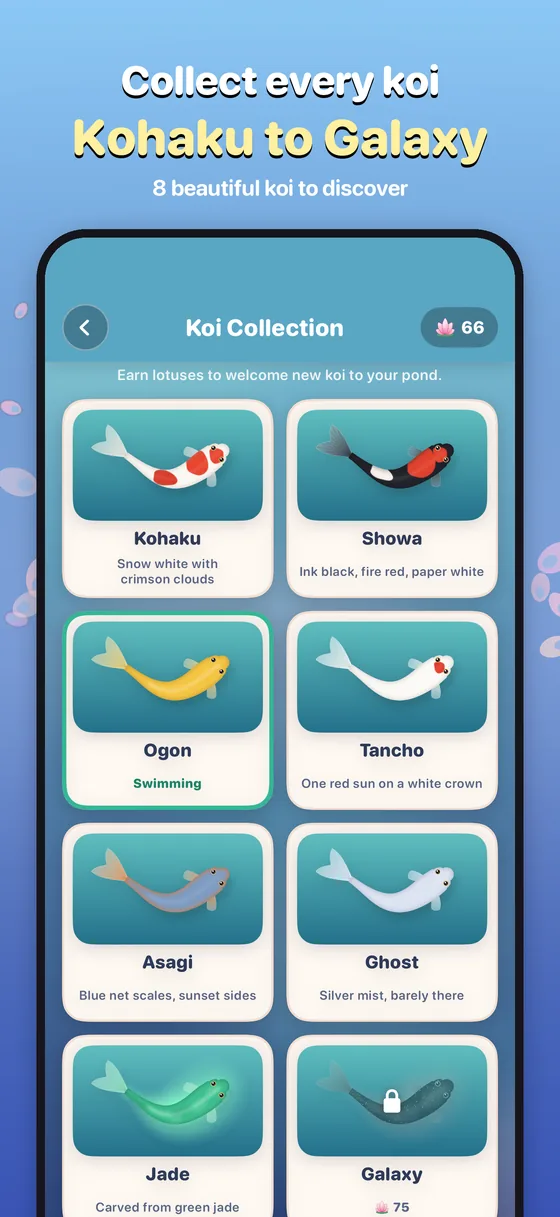 Koi Collection: Kohaku, Showa, Ogon, Tancho, Asagi, Ghost, Jade and Galaxy