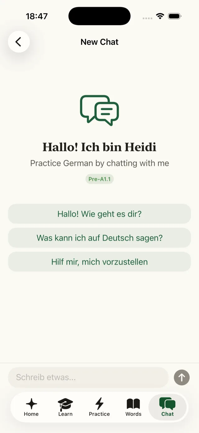 Chat with Heidi, the AI tutor